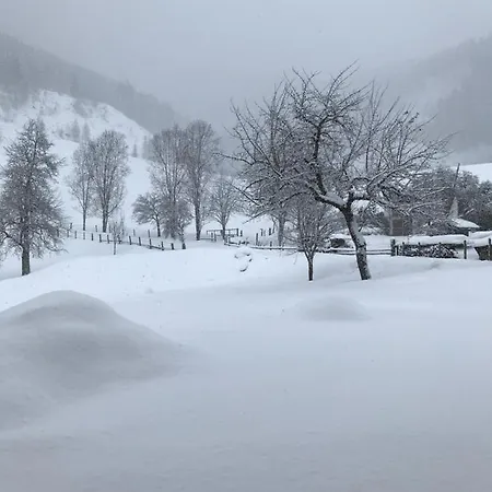 Lägenhet Bio Schartenhof *