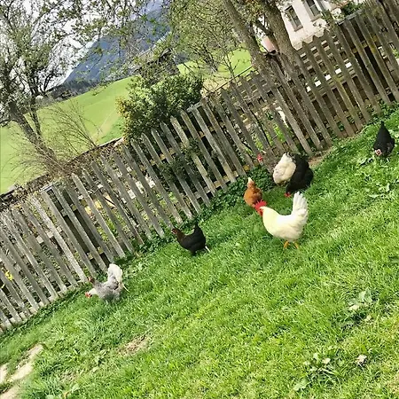 Bio Schartenhof Lägenhet *