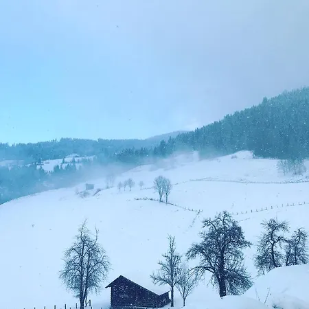 Bio Schartenhof Lägenhet *