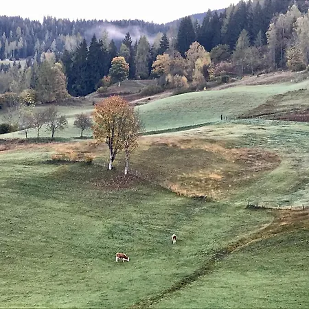 Apartment Bio Schartenhof Sankt Johann im Pongau