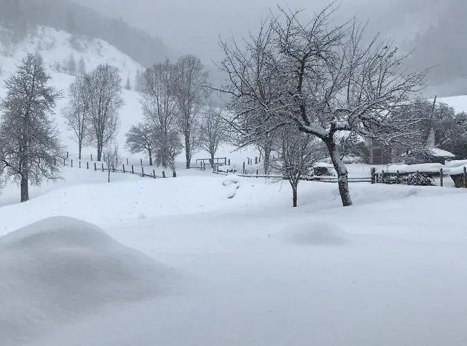 Apartmán Bio Schartenhof *