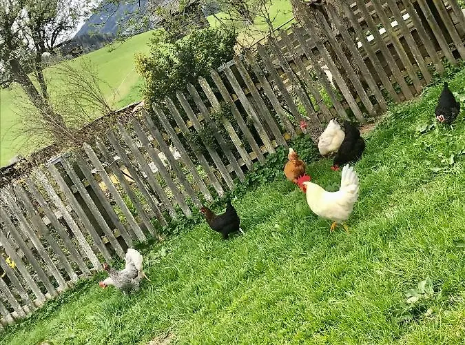 Bio Schartenhof Apartmán *