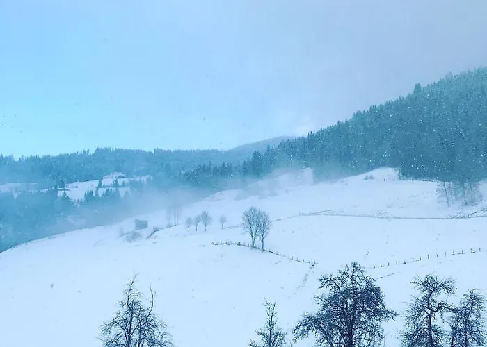 Bio Schartenhof Apartmán *