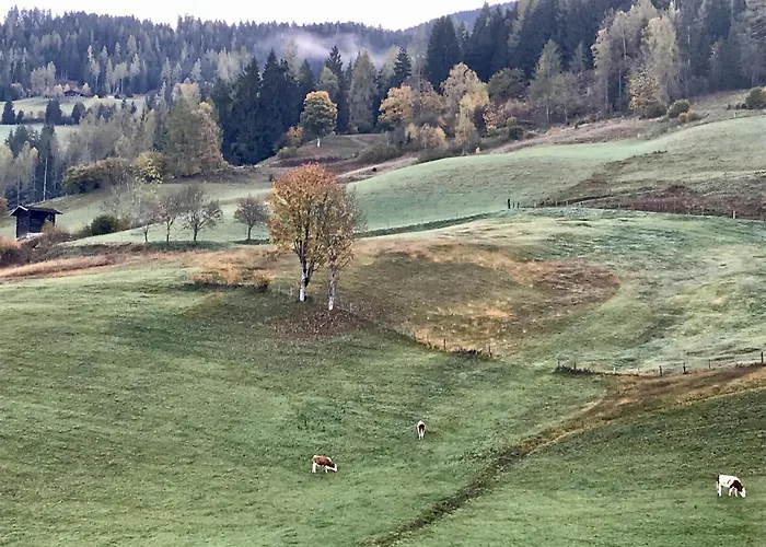 Apartment Bio Schartenhof Sankt Johann im Pongau
