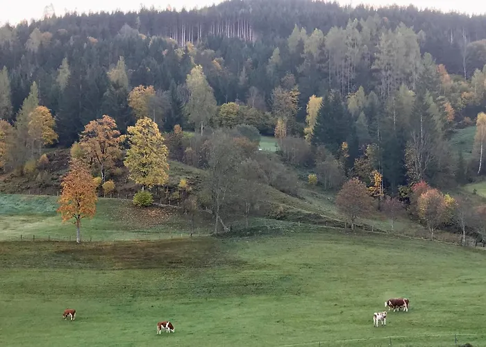 Bio Schartenhof